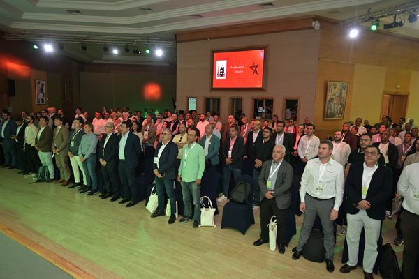 Avocado Congress - photo 16