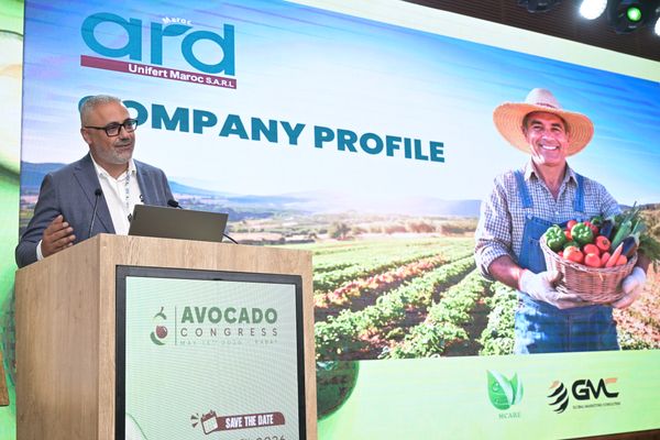Avocado Congress - photo 25