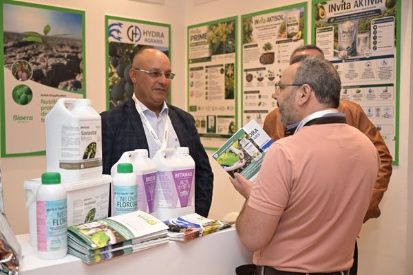 Avocado Congress - photo 7