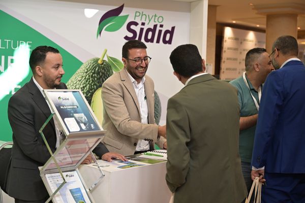 Avocado Congress - photo 8