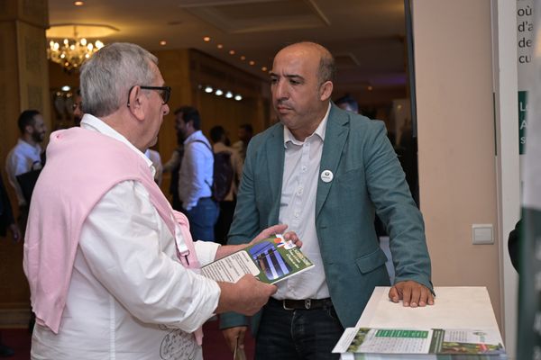 Avocado Congress - photo 11