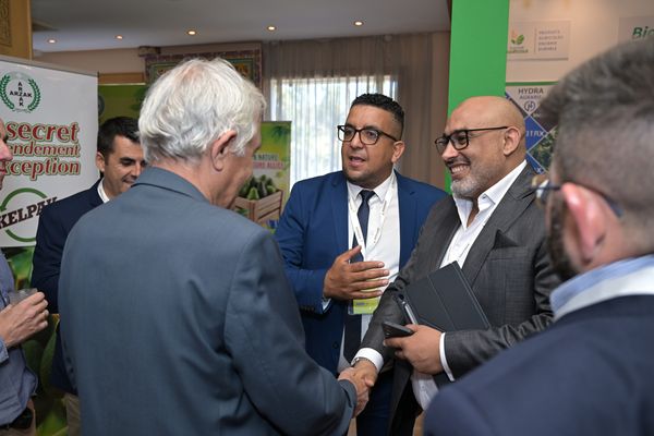 Avocado Congress - photo 12
